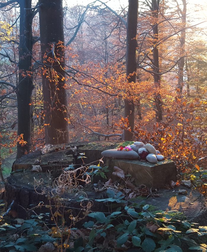 Apacheta, Naturaltar nach einer schamanischen Zeremonie im Wald